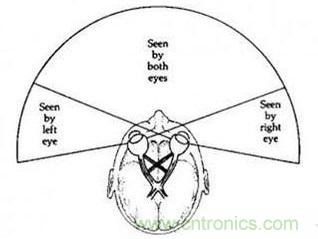 雙目重疊技術(shù)在VR中有什么作用？