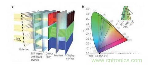  LCD顯示器示意圖。TFT表示薄膜晶體管（thin-film transistor）。