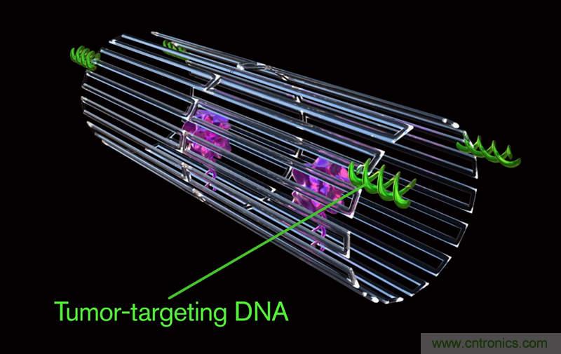 中美科學(xué)家聯(lián)手，用DNA納米機器人殺死癌細胞