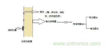 仿生傳感器的定義、原理、分類及應用