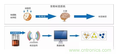 仿生傳感器的定義、原理、分類及應用