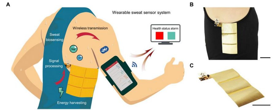 新型多功能柔性可穿戴式傳感器守護健康